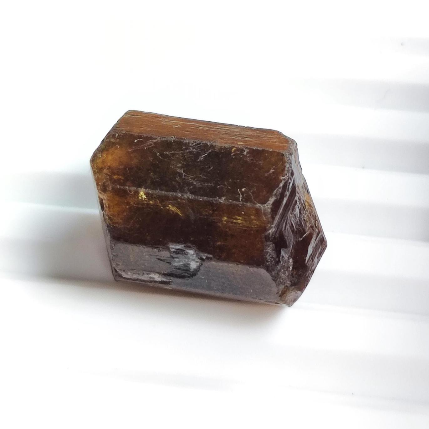 Pierre brute de tourmaline bicolore de 16,65 carats