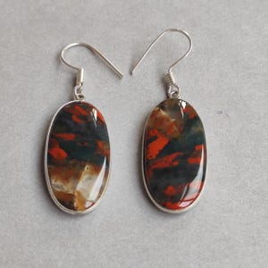 May include: A pair of oval-shaped earrings with a silver-colored metal frame. The earrings feature a polished stone with a mix of red, dark green, and brown colors. The earrings have a hook closure.