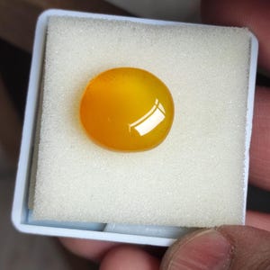Op de afbeelding: Een gepolijste, ronde, goudgele edelsteen, mogelijk een cabochon, geplaatst in een witte schuimrubberen inzet in een witte plastic behuizing. De edelsteen heeft een glad, reflecterend oppervlak. Het product kan een sieraad zijn.