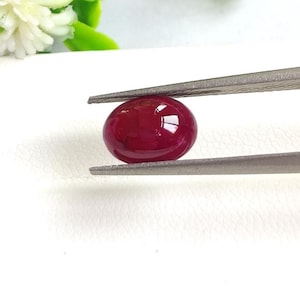 May include: A polished, oval-shaped ruby gemstone held by tweezers. The ruby has a deep red color with a glossy surface. The tweezers are silver-colored and the background is white.