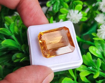 Golden Hessonite Garnet Gemstone: Mozambique Octagon, 22.5 Carat