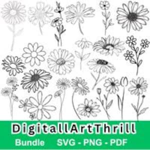 Daisy SVG Bundle, Daisy Flower Clipart, Floral Svg PNG PDF, Wildflower Cut Files for Cricut Silhouette, Spring Wedding Digital Download