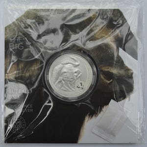 May include: A 2023 one ounce fine silver coin featuring a buffalo head design, encased in a protective plastic sleeve. The packaging displays the text THE BIG FIVE BUFFALO 2023 ONE OUNCE FINE SILVER and includes a small white silica gel packet.