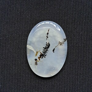 Op de afbeelding: Ovale, doorschijnende edelsteen met een witte basis en ingewikkelde zwarte en bruine dendritische insluitsels, die lijken op delicate plantachtige patronen. De steen is geplaatst tegen een donkere achtergrond.