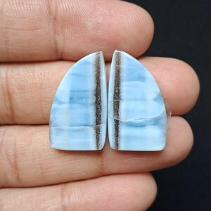 Op de afbeelding: Twee gepolijste, halfronde edelstenen. Elke steen heeft een lichtblauwe basiskleur met horizontale witte banden en een centrale, verticale band van donkerbruin. De stenen worden in een hand tegen een donkere achtergrond gehouden.