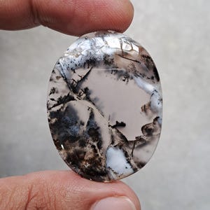Op de afbeelding: Ovaalvormige edelsteen met een uniek dendritisch patroon. De steen heeft een mix van witte, grijze en zwarte kleuren, waardoor een natuurlijk, artistiek ontwerp ontstaat. De edelsteen wordt tussen twee vingers gehouden.