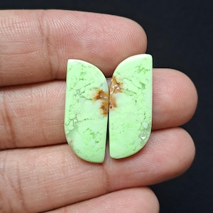 Op de afbeelding: Twee gepolijste, halfronde edelstenen. Elke steen is lichtgroen van kleur met bruine en witte adering. De edelstenen worden in de hand van een persoon tegen een zwarte achtergrond gehouden.