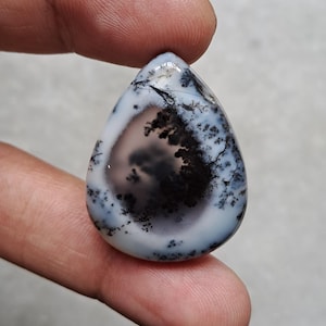 Op de afbeelding: Een gepolijste, druppelvormige edelsteen met een dendritisch patroon. De steen heeft een centraal donker gebied met boomachtige insluitsels, omgeven door een witte en doorschijnende basis. De edelsteen wordt tussen twee vingers gehouden.