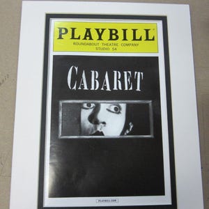 Picture Mat SALE 8x10 mat for Theater Program CHOOSE COLORS