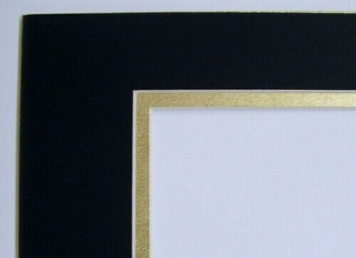 Picture Framing Mat Black with Gold liner 8x10 for 4x6 Photo or Art  Rectangle Cutout