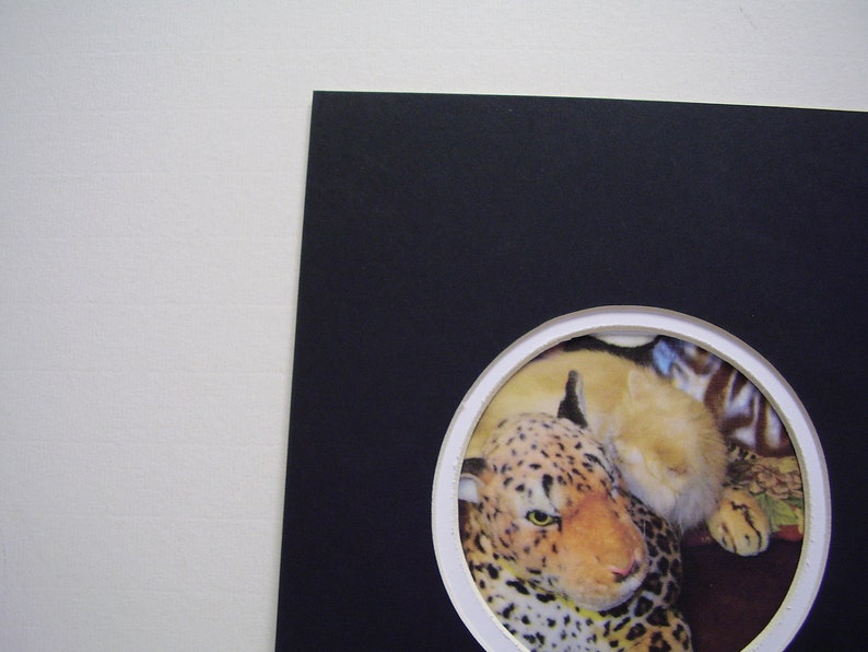 Picture Frame Mat Black and White 8x10 for 5x7 Photo Round Etsy