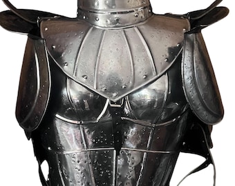 Coraza de acero para dama medieval, disfraz, conjunto de armadura, cosplay de Halloween, decoración del hogar, LARP SCA, regalo.