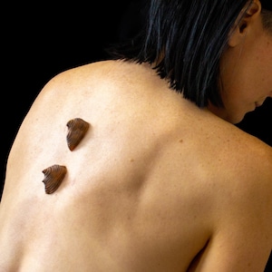 Xithani Ridges Small Prosthetic - MADE TO ORDER