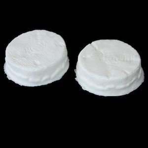 Horn Stump Prosthetics - MADE TO ORDER