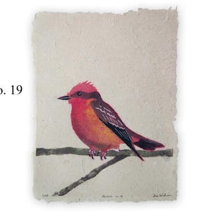 Puede incluir: Pintura a la acuarela de un pequeño pájaro posado en una rama. El pájaro tiene plumas rojas y naranjas con alas oscuras. La obra de arte está sobre papel texturizado, con el texto "no. 19" en la esquina superior izquierda.