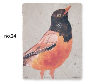 Proud Robin (American robin) -- bird pulp painting on handmade paper (2023), Item No. 337