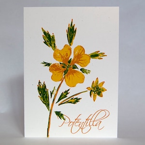 Corações e Flores – Potentilla – Cartão impresso em tipografia de 5 cores, edição limitada, em branco, item nº 246
