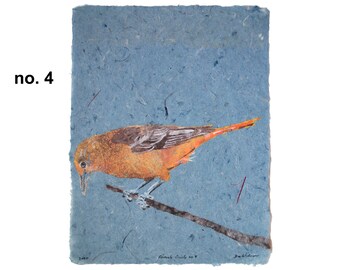 Female Oriole (Baltimore Oriole) -- bird pulp painting on handmade indigo dye paper (2020), Item No. 333