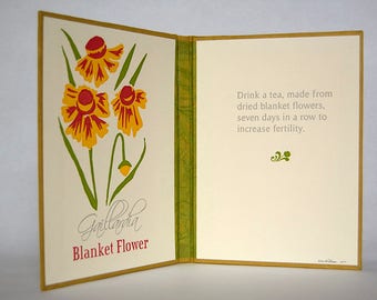 Flower Lore Diptych – Blanket Flower (Gaillardia) – 4 Color Letterpress Endsheets with Book Casing Structure (Item No. 247)