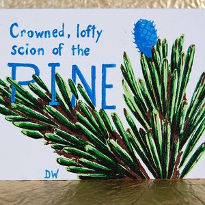 Poésie et plantes d'hiver – Pin : carte imprimée en typographie avec poème d'Henrik Wergeland, référence 124.03