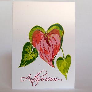 Puede incluir: Una flor de anturio rosa con hojas verdes. La flor tiene forma de corazón.