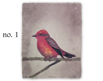 Bird Lore: Passion (vermilion flycatcher) -- bird pulp painting on handmade paper (2024), Item No. 381_01_06