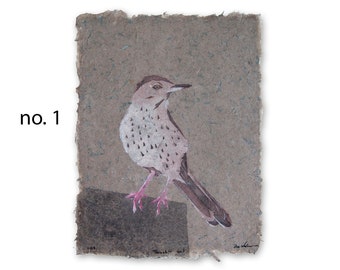 Thrasher (brown thrasher) -- bird pulp painting on handmade paper (2023), Item No. 377
