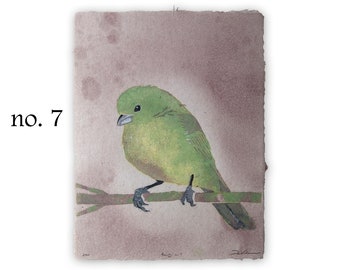Bird Lore: Beauty (female painted bunting) -- bird pulp painting on handmade paper (2024), Item No. 382_07_08