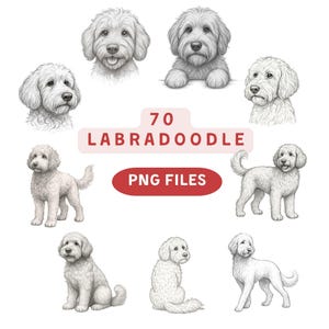 Labradoodle PNG Bundle: 70 Dog Head Graphics for Cricut & Silhouette