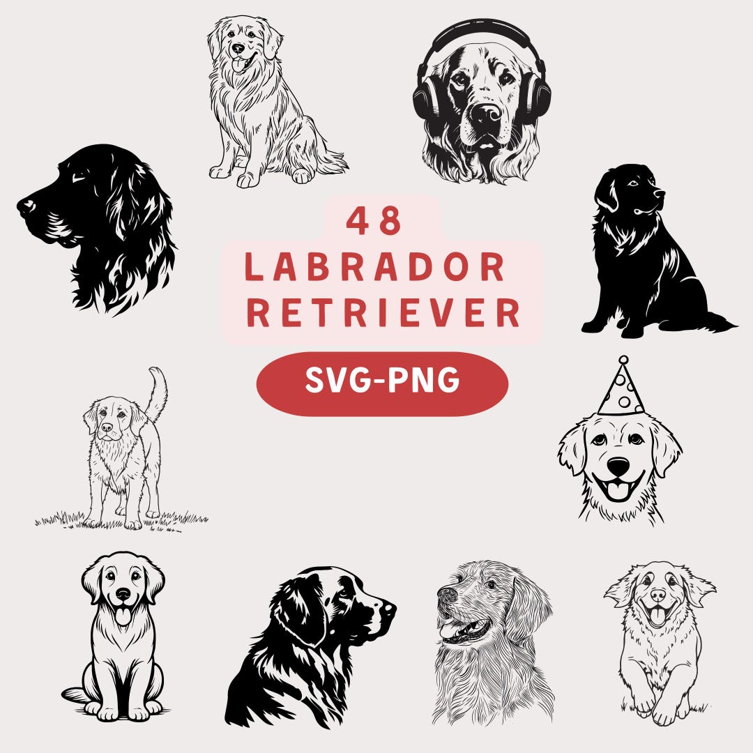 Labrador Retriever SVG PNG Bundle: 48 Hand-drawn Dog Designs - Etsy UK