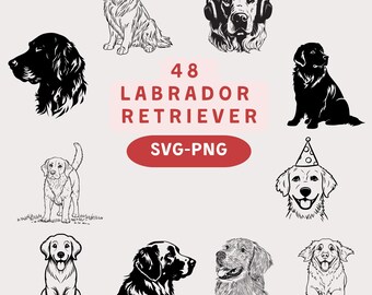 Labrador Retriever SVG PNG Bundle: 48 Hand-Drawn Dog Designs