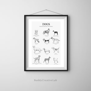 Dog Breed Poster, Popular Dogs of the World, Dog Drawing, Decorative Canine Wall Art for Home, Perfect Gift for Dog Owners, Pet Portraits