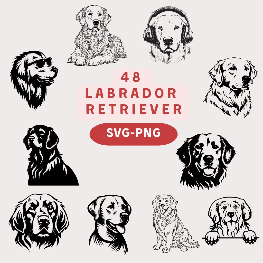 Labrador Retriever SVG PNG Bundle: 48 Hand-drawn Dog Designs - Etsy