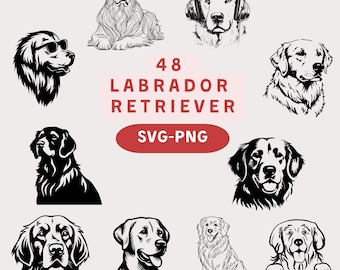 Labrador Retriever SVG PNG Bundle: 48 Hand-Drawn Dog Designs