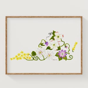 Virginia Wildflower Fine Art Print: Hand-Drawn Botanical Giclée Wall Decor, Unframed