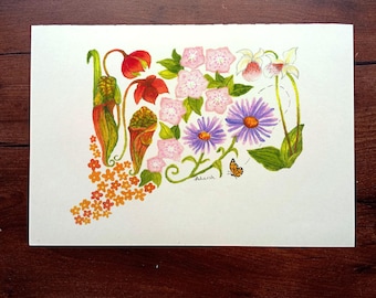 Connecticut State Botanical Wall Art - Unframed Giclée Print