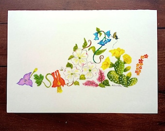 Pode incluir: Uma ilustração em aguarela sobre papel branco representando a forma do estado da Virgínia composta por várias flores coloridas, incluindo flores de corniso brancas, columbinas cor de laranja, campânulas azuis, cactos amarelos e uma borboleta.