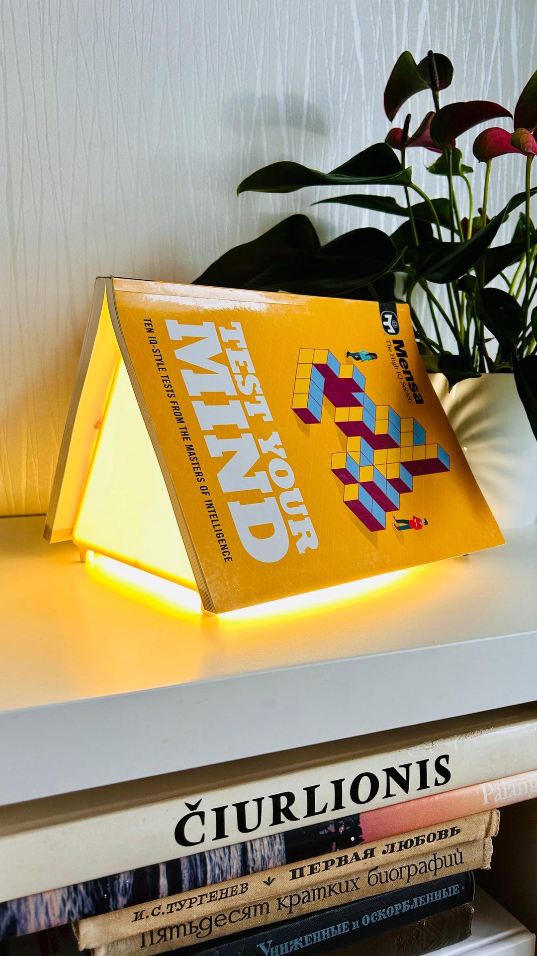 Book Rest Lamp 