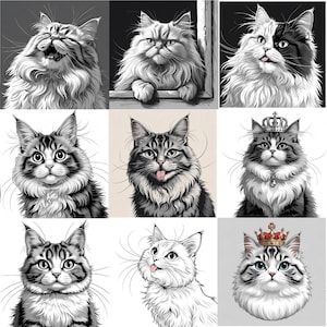 180 Fluffy Peeking Cats Clipart – Persian, British Shorthair & Maine Coon × 5 Emotions – Cute Premium Cat SVG/PNG Bundle