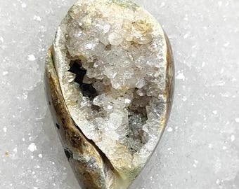 Fossilized Conch Shell Druzy Cabochon - Natural Crystal Loose Gemstone Jewelry CLG MG-22