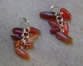 Carnelian Agate Stone Beaded Cluster Silver Charm Earrings