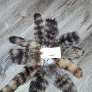 Può includere: Una collezione di code in finta pelliccia nei toni del marrone, beige e nero, disposte a cerchio. Ogni coda è attaccata a una catena di metallo e a un'etichetta vuota. Le code hanno un motivo a strisce.