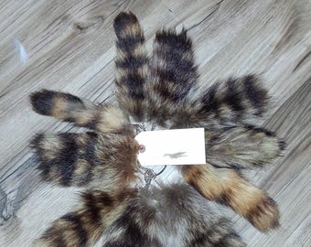 ¡Coletas de mapache realmente pequeñas!