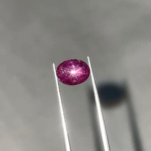 May include: A vibrant, oval-shaped ruby gemstone, held by silver tweezers. The ruby displays a star effect, with a six-rayed star pattern visible on its polished, deep red surface. The background is a soft gray.