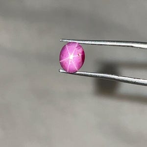 May include: A polished, oval-shaped, pink gemstone with a six-rayed star pattern. The gem is held by a pair of silver tweezers against a neutral gray background. The star effect is caused by light reflecting off of inclusions within the stone.