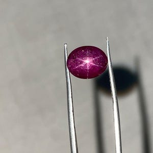 以下が含まれることがあります： 銀色のピンセットで保持された、星のような模様の深い赤色の楕円形の宝石。 研磨された宝石はニュートラルな背景に配置されています。 星の効果は宝石の表面全体に見られます。 宝石の長さは約1.5cmです。