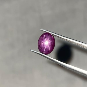 Puede incluir: Una gema pulida, de forma ovalada, de color rojo púrpura con un patrón de estrella de seis rayos. La gema está sujeta por unas pinzas sobre un fondo neutro. El efecto de estrella es el resultado de la reflexión de la luz sobre las inclusiones de la piedra.