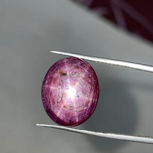 Naturlig stjärnrubin ädelsten – 20,80 karat oval cabochon med 6-strålande asterism