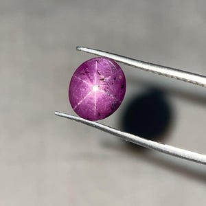 May include: A polished, oval-shaped, purplish-red gemstone with a six-rayed star pattern. The gem is held by silver tweezers against a blurred, neutral background. The star effect is caused by light reflecting off of inclusions within the stone.