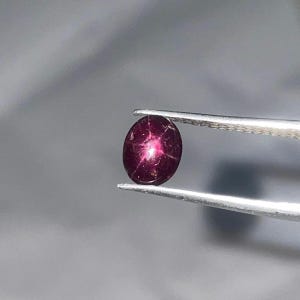 May include: An oval-shaped, deep red star ruby gemstone featuring a distinct six-rayed star pattern across its surface. The cabochon-cut stone displays natural inclusions and is held by a pair of silver-toned metal tweezers for display.